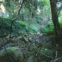 Canyon Park
