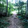 Canyon Park