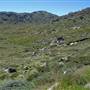 Charlotte Pass