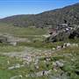 Charlotte Pass