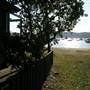 Clareville Beach