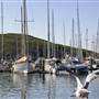 Coffs Harbour