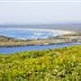 Coffs Harbour