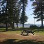 Collaroy Beach