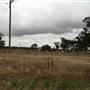 Collingullie