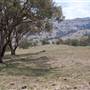 Coolah Tops National Park