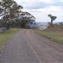 Coolah Tops National Park