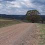 Coolah Tops National Park