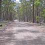 Coolah Tops National Park