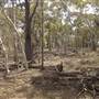 Coolah Tops National Park