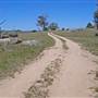 Cooma Roads