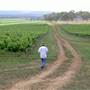 Craigmoor Winery