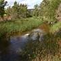 Cox's River at Duddawarra Bridge