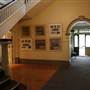 Cranbrook School
