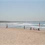 Cronulla Beach