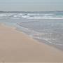 Cronulla Beach
