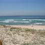 Cronulla Beach