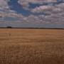 Crops/Farms - Central West