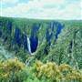 Dorrigo National Park