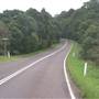 Dorrigo National Park