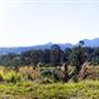 Northern Rivers Region
