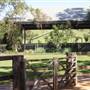 Calmsley Hill City Farm