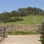 Calmsley Hill City Farm