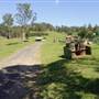 Calmsley Hill City Farm