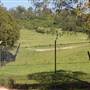 Calmsley Hill City Farm