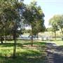 Calmsley Hill City Farm