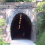 Fernleigh Track tunnel