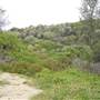Point Stephens/Fingal Island / Fingal Point /Tomaree National Park