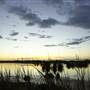 Fivebough Swamp
