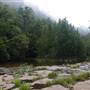 Flatrock, Gibsons Creek