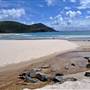 Forster and surrounds