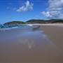 Forster and surrounds