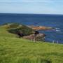 Gerringong