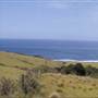 Gerroa