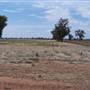 Gilgandra Rural Area