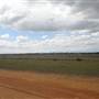 Gilgandra Aerodrome