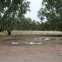 Gillenbah - near Narrandera