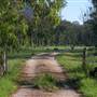 Glenreagh