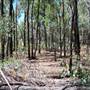 Goobang National Park