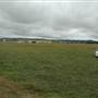 Goulburn Airport runway and exteriors