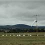 Goulburn Airport runway and exteriors