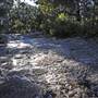 Green Patch Campground - Booderee National Park