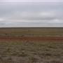 Hay Plains