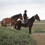 Hay Plains
