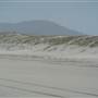 Killick Beach & Sand Dunes - Hat Head National Park