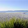 Hyams Beach - Jervis Bay